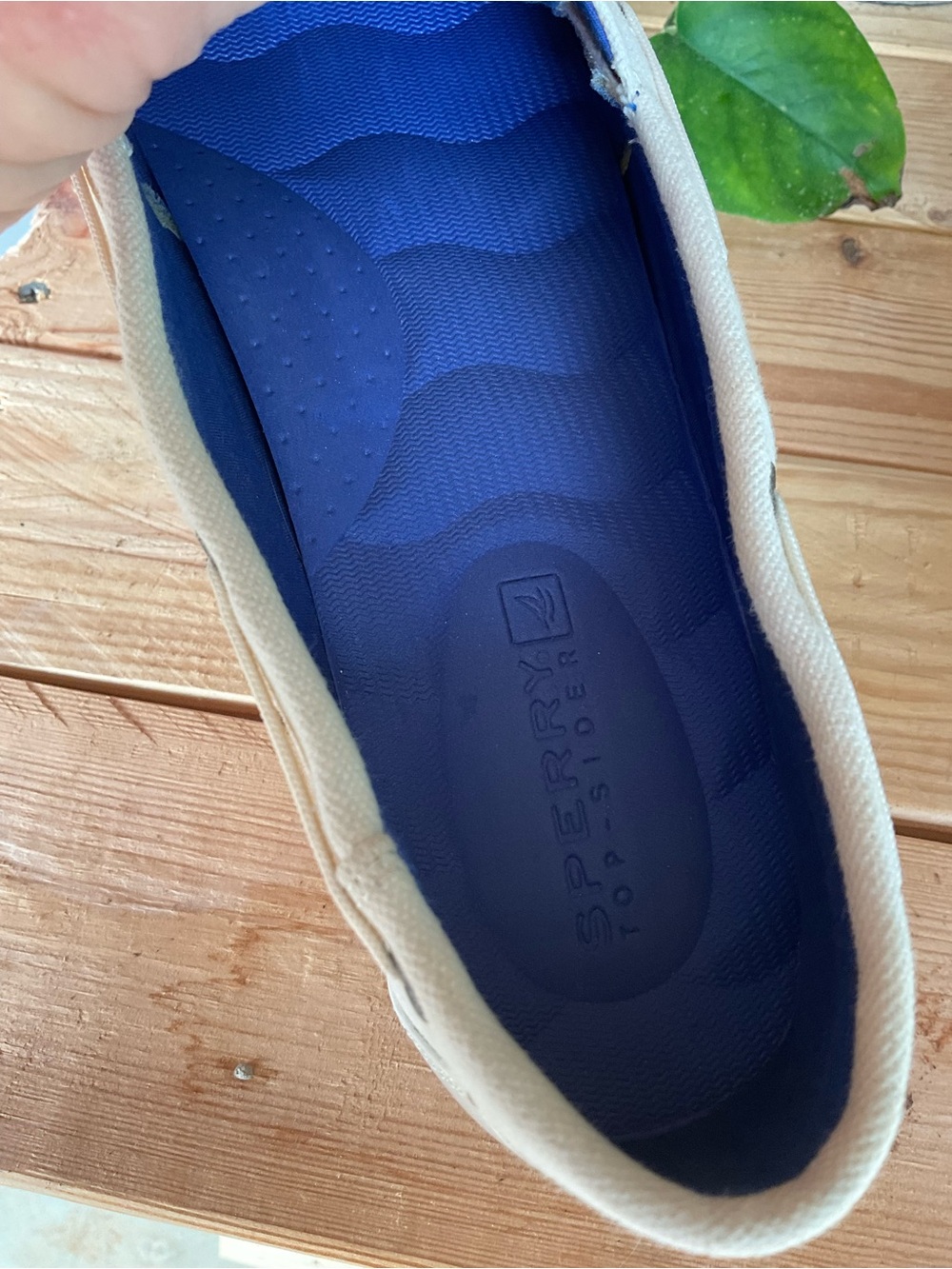 Sperry Canvas Boat Shoes - White. Size 10 - Picture 8 of 8